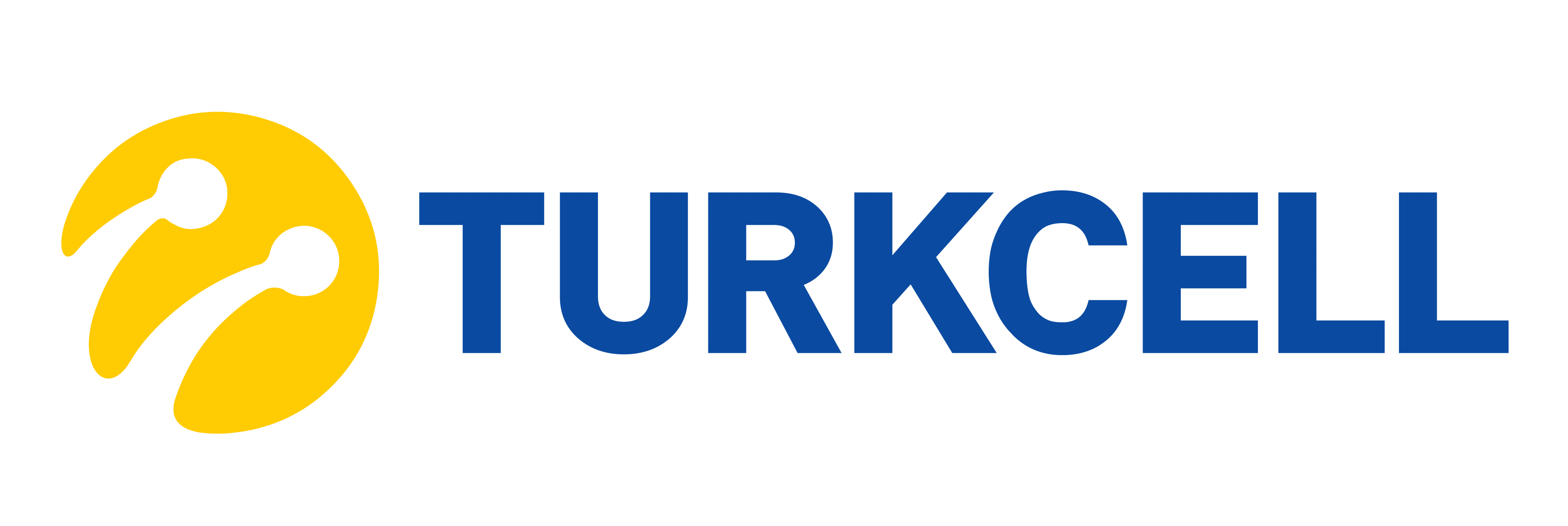 Culture Sponsor
